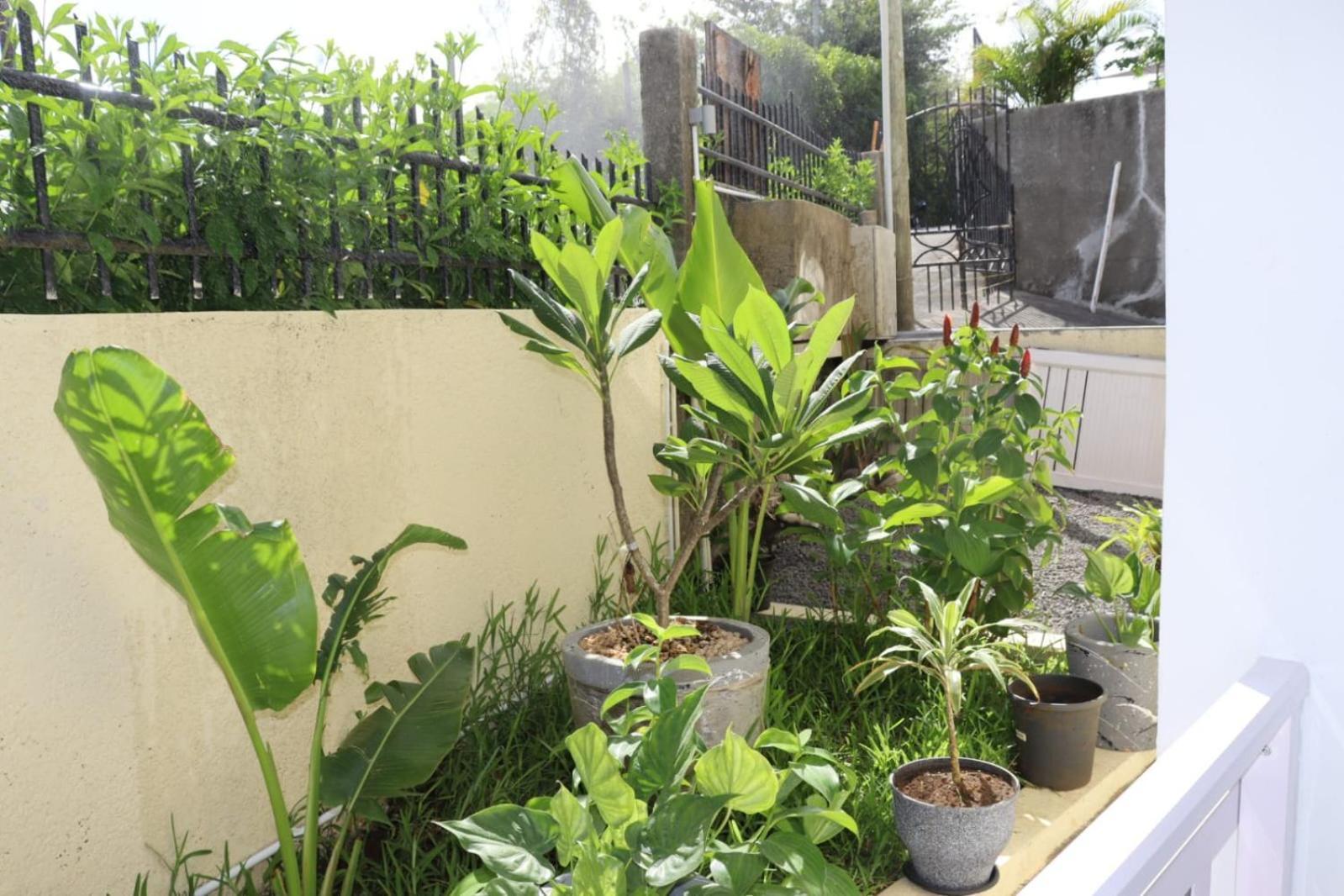 Garden Suite Trou d'Eau Douce Eksteriør billede